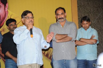 Bhale Bhale Magadivoy Movie Success Meet